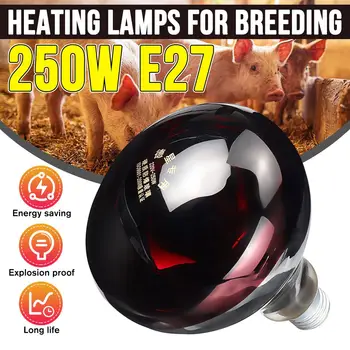 250W E27 LED אינפרא אדום אור עיבוי מנורת החימום התרמי שימור הנורה עבור חיית המחמד הוגה הפתח פיגי כלב חתול מונע שלשול